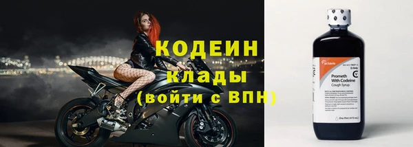 mdpv Бородино
