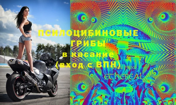 спайс Волоколамск