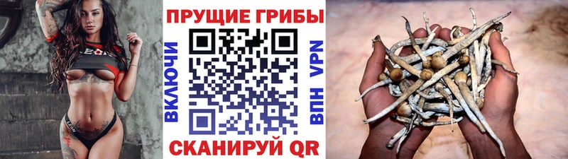 как найти закладки  Воскресенск  Галлюциногенные грибы Psilocybine cubensis 